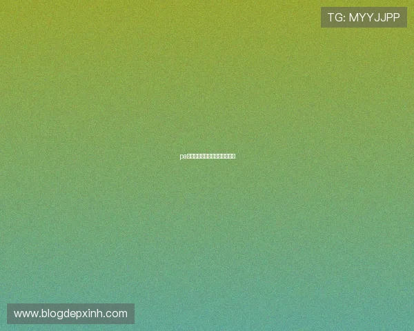 pa真人视讯的优势与特色全面解析