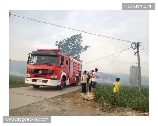 注册老虎机送开户金198，立即注册领取丰富开户礼金开启娱乐新篇章